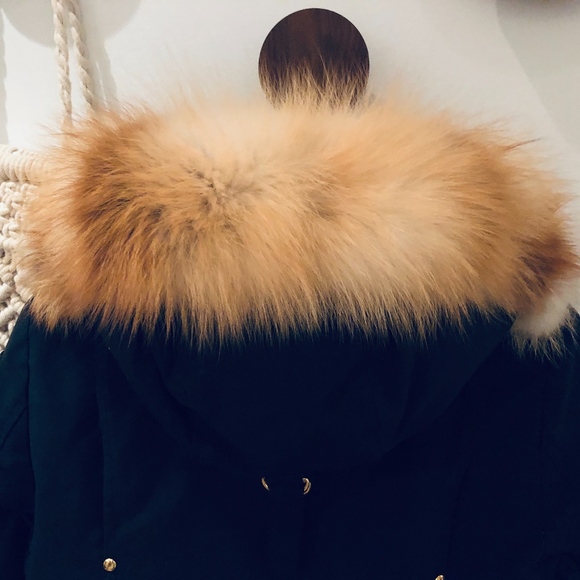 Mooseknuckles GRAND MÉTIS PARKA - Picture 4 of 5